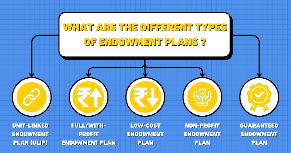 Types of Endowment Plans
