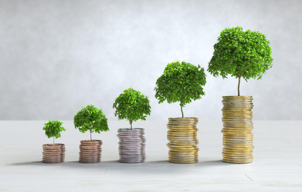 Five trees growing on stacks of coins, representing increasing financial growth. The largest tree is on the right, symbolizing a future pension of 50,000 rupees per month.